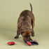 Fringe Studio Plush Dog Toy, Snack Attack, Hide & Seek Interactive Pet Toy, Pet Shop Collection