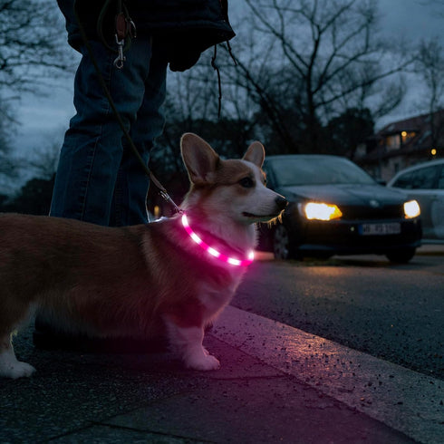 HIGO LED Dog Collar, Lightweight Silicone Light Up Dog Necklace, USB Rechargeable, Pink