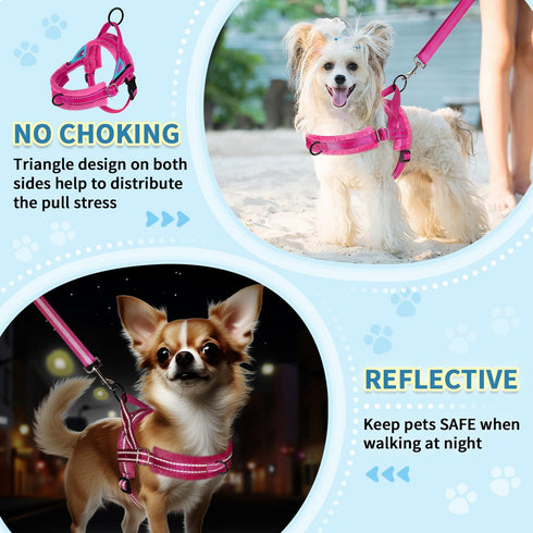 SlowTon No Pull Small Dog Harness and Leash Set, Puppy Soft Vest Harness, Reflective Lightweight Combo for Small Dogs