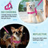SlowTon No Pull Small Dog Harness and Leash Set, Puppy Soft Vest Harness, Reflective Lightweight Combo for Small Dogs
