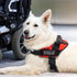 2 Pcs Reflective Service Dog in Training Patch Set, Hook and Loop Fastener for Dog Vest Harness