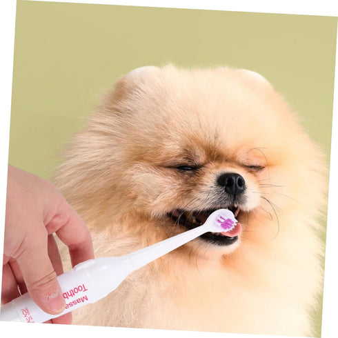 2pcs FOMIYES Pet Electric Toothbrush Acoustic Electric Brush Gentle Gums Travel Friendly Random Color