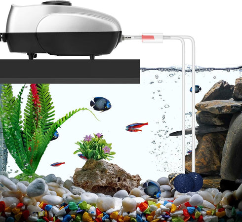 AquaMiracle Aquarium Air Pump Fish Tank Bubbler Aerator, All-in-One Fish Tank Air Pump, Quiet Aquarium Bubbler Aerator for 1-80 Gallon Aquariums by AquaMiracle