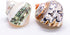 1 1 2"-2.5" Hermit Crab Shells | Turbo Shells | African Sarmaticus and Green Banded Turbo Shell | Hermit Crab House