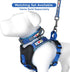 Pawtitas Lumberjack Padded Martingale Collar for Dogs, XS Blue, Soft Neoprene, Reflective Band for Visibility