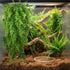 (4 Pack) PINVNBY Reptile Plants Hanging Fake Vines Boston Climbing Terrarium Plant with Suction Cup for Bearded Dragons