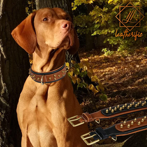Spike Dog Collar | Spiky Series | Premium Genuine Bridle Leather, Heavy Duty, Padded for Medium, Large, XL Breeds