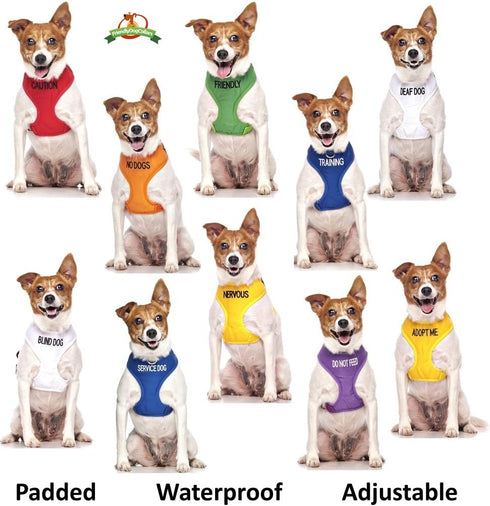 Training Blue Dog Bandana | Quality Personalised Embroidered Message Neck Scarf | Fashion Accessory Prevents Accidents