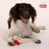 Multipet Lamb Chop Dog Plush Toy, Squeaky Toy for All Dogs, Extra Soft Plush, 6", Cream