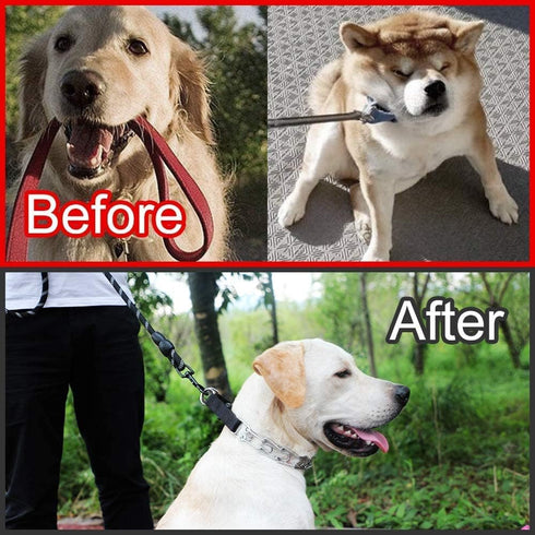 CBBPET Dog Prong Collar - Adjustable Training Collar with Quick Release Buckle for Small Medium Large Dogs
