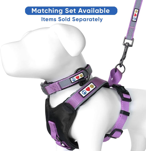 Pawtitas Lumberjack Padded Martingale Collar for Dogs, Soft Neoprene with Reflective Band, Medium Orchid