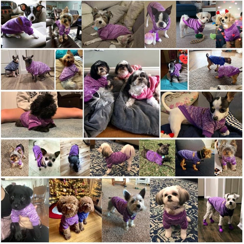 Pet Dog Classic Knitwear Sweater, Warm Winter Coat for Small Dogs (M, Purple)