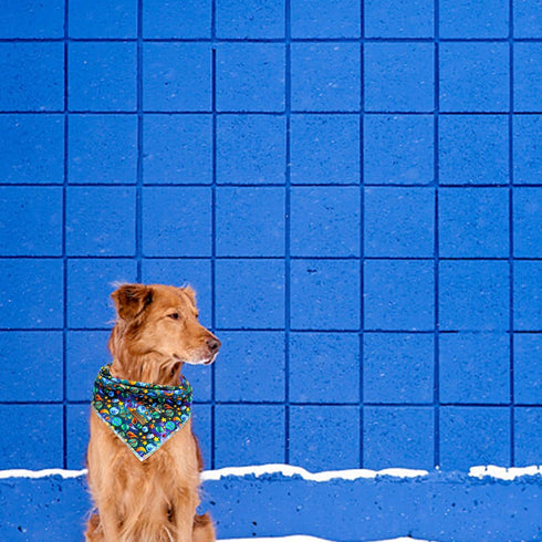 Elegant little tail Dog Bandana- Blue Spring Soft Puppy Bandana Cute Pet Scarf Handkerchief Boy Pet Bibs Scarf