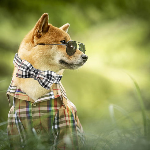 Dog Collar, Bow Dog Collar Plaid Pet Collar, Cute Soft Adjustable Collar for Large Dogs with Metal Buckle