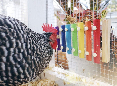 Vehomy 8 Chicken Xylophone Toy for Hens Wood Xylophone Toy with Metal Keys Chicken Coop Pecking Toy Chicken Coop