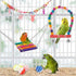 Bird Parakeet Toys, Colorful Swing Chewing Toy Hammock Ladder for Budgerigar, Conure, Cockatiel