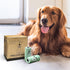 60 Count Poop Bags for Dogs, Dog Poop Bag Rolls and Small Trash Bags for Waste Cleanup, Extra Thick Doggie Bags