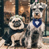 Dog Wedding Bandana, Adjustable Formal Tuxedo Pet Collar with Bow for Small Medium Large Dogs, Birthday Gifts, Medium,