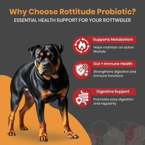 Rottitude Probiotics for Dogs Natural Dog Probiotics for Digestive Health, Gut Health, Yeast, Itchy Skin & Itchy Ears