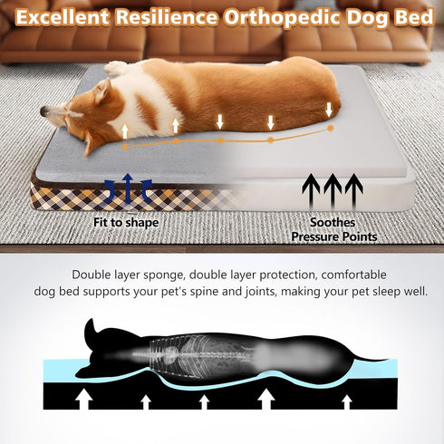 Magic Dog Orthopedic Bed for Extra Large Dogs, Super Soft 2-layer High Density Foam, Non Slip Bottom Mattress with