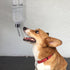 Automatic Water Dispenser for Small Pets, No-Spill Pet Feeder, Rat Dog Accessories, Hamster Kettle, Travel Feeder