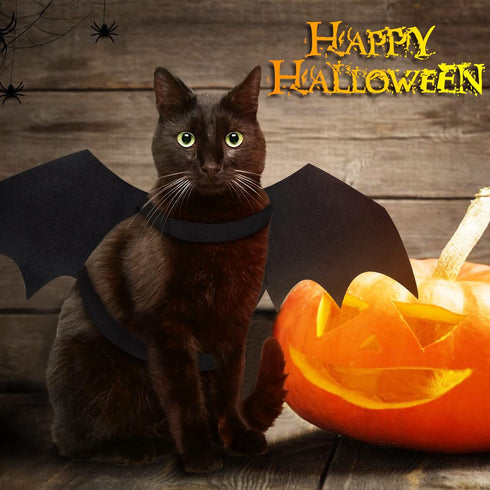 Malier Halloween Cat Costume - Pet Bat Wings for Cats and Dogs