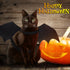 Malier Halloween Cat Costume - Pet Bat Wings for Cats and Dogs