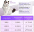 Hillban Cat Collar Diamond Chain Glitter Collar Walking Metal with Secure Buckle Cat Pet Necklace with Paw Charm Link Jewelry Accessories with ID Tag Bell for Small Cat (Steel Black, Purple,10 Inch)