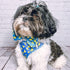Huxley & Kent Lucky Ducky Bow Tie for Pets | Small Easter Spring Velcro Collar Attachment | Fun Bow Ties for Dogs & Cats