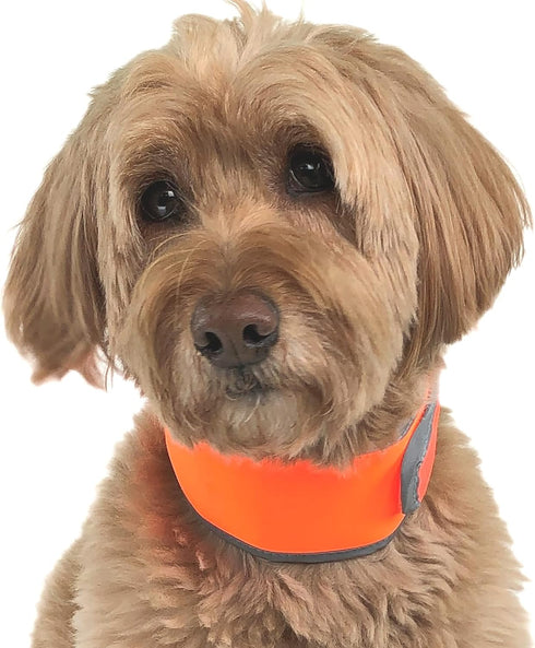 Hi-Vis Dog Cooling Collar, Orange Reflective Re-Freezable Ice Collar (Medium)