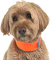 Hi-Vis Dog Cooling Collar, Orange Reflective Re-Freezable Ice Collar (Medium)