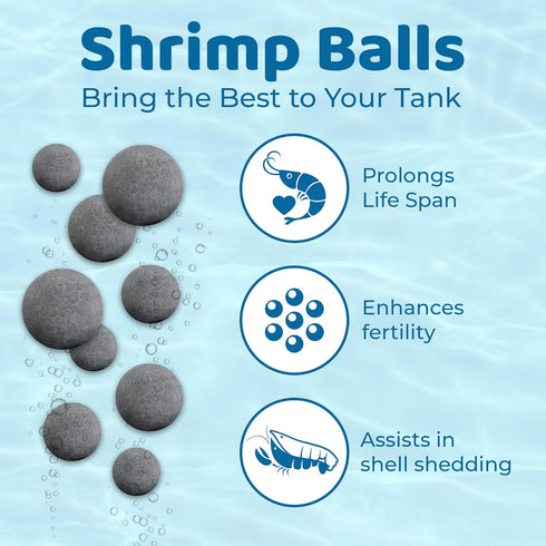 SunGrow Shrimp Balls, Calcium-Rich for Successful Shedding, Vibrance, Cool Décor with Wellness Benefits