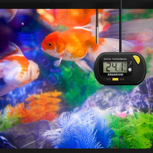 Fish Tank Digital Thermometer with MAX/MIN LCD Display for Water Temperature Measurement (1, Orange, M)