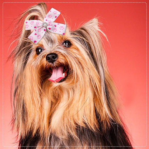 PET SHOW 50Pcs/25Pairs 4" Paw Pattern Big Dog Hair Bows with Alligator Clips for Medium Large Dogs