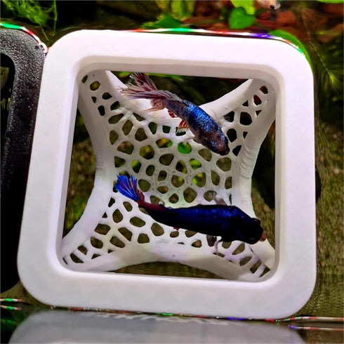 Bingche 2pcs 3-in-1 Hammock Aquarium Floating Cave Fish Shrimp Hideout Shelter Feeding Ring Resting Spot
