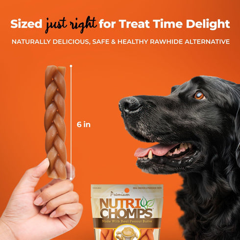 NutriChomps Dog Chews, 6-inch Braids, 4 Count Rawhide-Free Treats, Easy to Digest, Real Peanut Butter Flavor