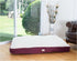 Armarkat Pet Bed Mat, 39-Inch by 28-Inch by 7-Inch, M02HJH/MB-Large, Ivory