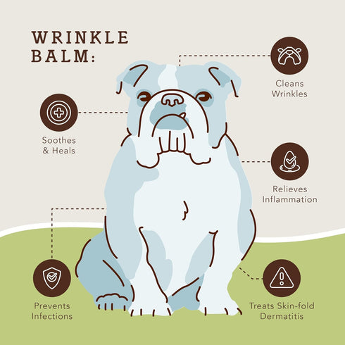 Natural Dog Company Wrinkle Balm, Travel Stick, 0.15 oz, Dog lotion for dry itchy skin, Cleans Wrinkles, Yeast Infection treatment for dogs, Plant based, Frenchie Dog Accessories, Made in USA
