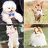 Segarty 60pcs Adjustable Bow Ties for Dogs, Comfortable Bowtie Collars for Small Medium Pets, Grooming Accessories