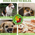 WishLotus Slip-Free Pet Snuffle Mat with Hanging Rope, Snuffle Mat for Dogs to Consume Energy and Relieve Stress, Pet