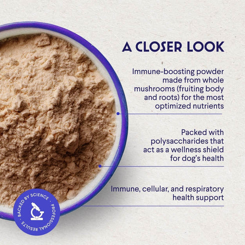 Immunity, 2.12 oz Wonder Paws Organic Turkey Tail Mushroom for Dogs Powerful Turkey Tail for Dogs Mushroom Powder