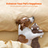 HGB Squeaky Dog Toys, No Stuffing Crinkle Toys for Large Medium Small Dogs, 2 Pack Interactive Chew Toys
