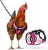Chicken Harness Hen Size with 6ft Matching Leash - Adjustable, Comfortable, Breathable, Pink