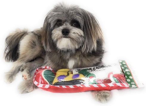 Christmas Stocking for Dogs with Squeaky Newspaper Toy, Boot Toy, Tennis Ball, and Knotted Rope