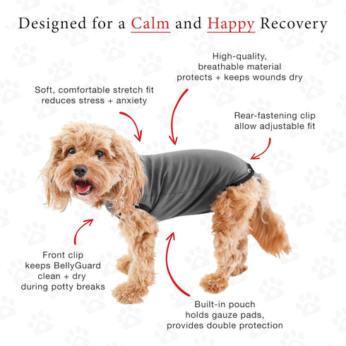 BellyGuard Recovery Suit for Dogs, Comfy Post-Op Care Onesie for Female Spay and Male Neuter Surgery