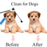 Tear Stain Remover Combs for Pets, Stainless Steel Eye Brush Tools, Durable Flea and Lice Removing Set for Dogs, Cats