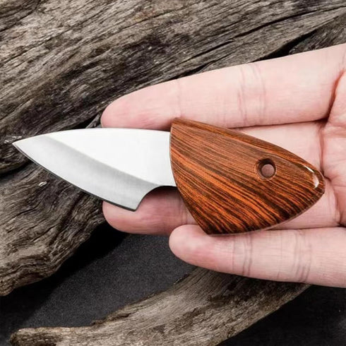 Portable Dolphin Shaped Pocket Knife, 10 PACK Utility Knives, 2.2 Inch, Suitable for Unpacking and Fruit Cutting