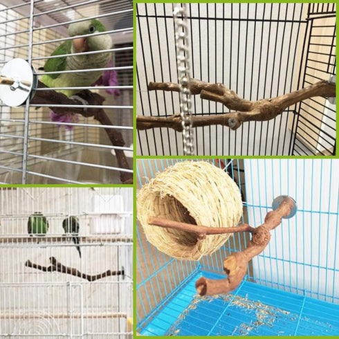 PINVNBY Parrot Perches Natural Birds Stand, Wild Grape Stick Grinding Paw Climbing Wood Accessories for Parakeet and