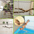 PINVNBY Parrot Perches Natural Birds Stand, Wild Grape Stick Grinding Paw Climbing Wood Accessories for Parakeet and