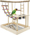 Hamiledyi Bird Playground Parrots Wood Perch Stand Cockatiel Playground Bird Play Gym